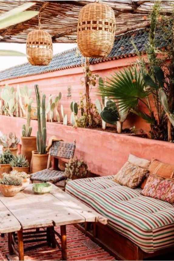 boho backyard plants