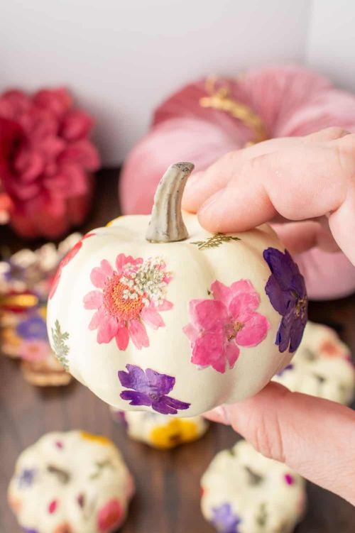 pumpkin painting ideas