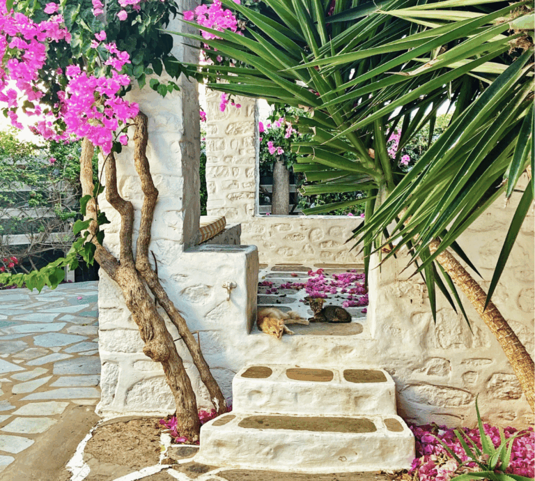 Paros Greece Travel guide