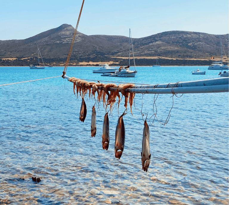 Paros Greece Travel guide