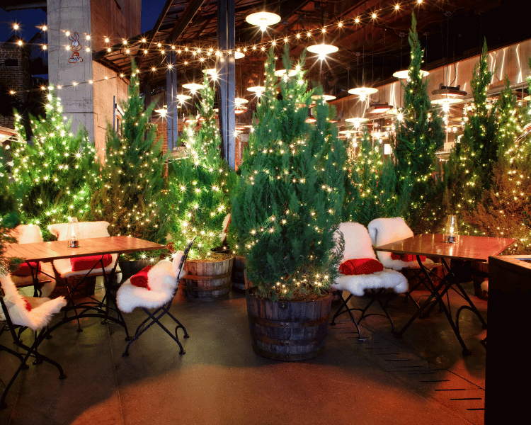 Winter views from The Standard High Line rooftop bar, one of the most stylish New York City Christmas Hotels downtown.
